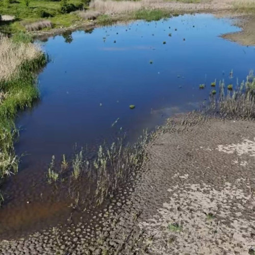 Târgoviște lansează proiectul pentru o nouă grădină publică și reabilitarea lacului Priseaca