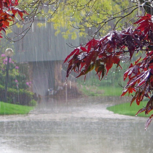 Temperaturi fluctuante și precipitații în România în următoarele două săptămâni