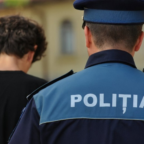 Minor de 16 ani trimis în judecată pentru loviri cauzatoare de moarte la Vinga