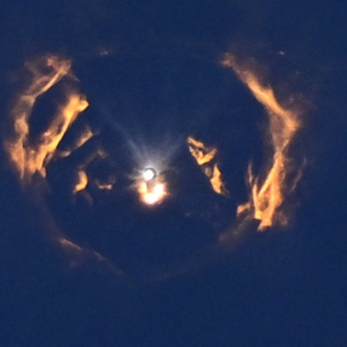 Megaracheta Starship a SpaceX realizează un zbor de test suborbital reușit în Texas