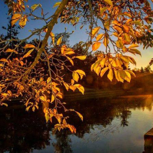 Prognoza meteo pe termen mediu: temperaturi ușor peste medie și precipitații moderate