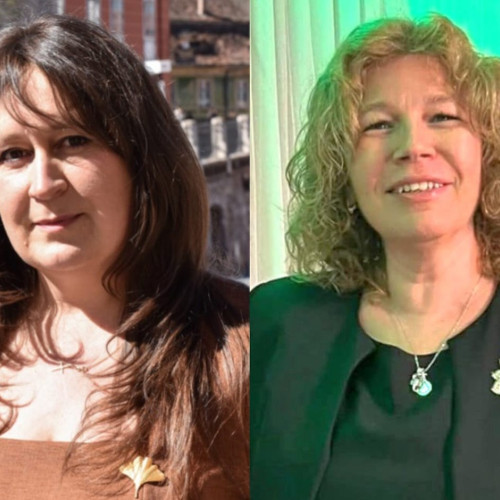 Medicii de familie din Sibiu privesc cu rezerve schimbarea sistemului de plată în sănătate