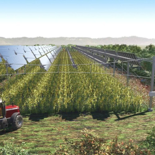 Turceni semnează un contract de 380 milioane euro pentru hub de energie regenerabilă