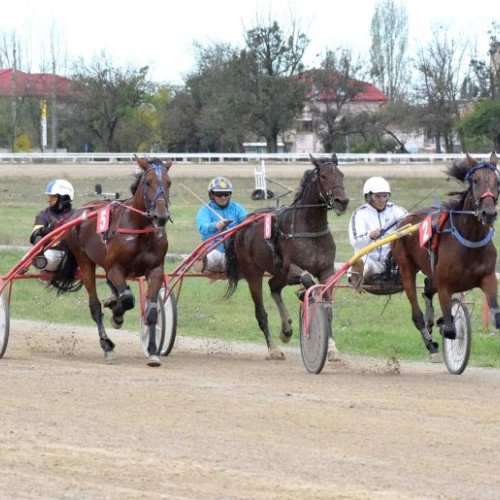 Indigo și Lucky Churchill au strălucit la reuniunea hipică de la Ploiești