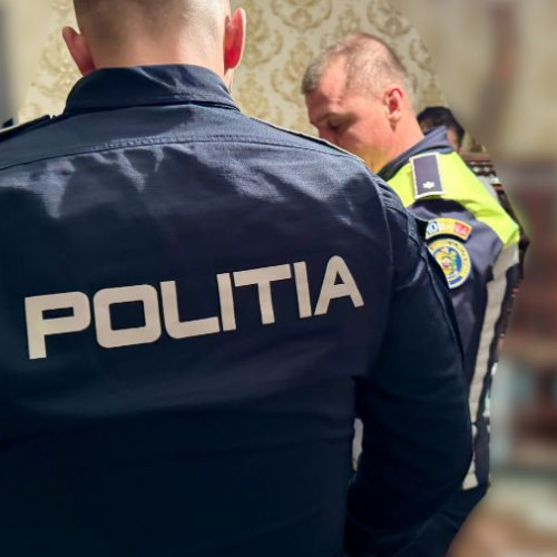 Percheziții în Bacău pentru tâlhărie și furt de lemne