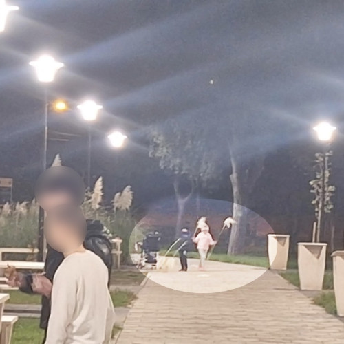 Poliția locală constănțeană monitorizează imagini pentru identificarea vandalilor