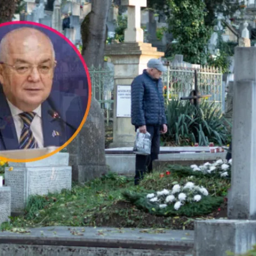 Discuții aprinse la Cluj privind accesul câinilor în cimitirele municipale