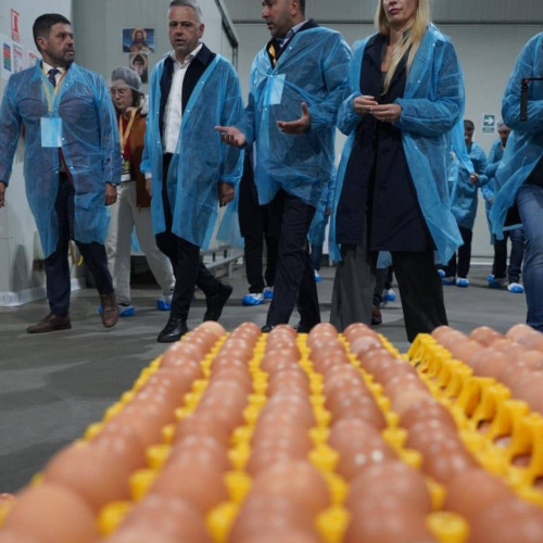 Inaugurată prima fabrică de ouă lichide din județul Dâmbovița