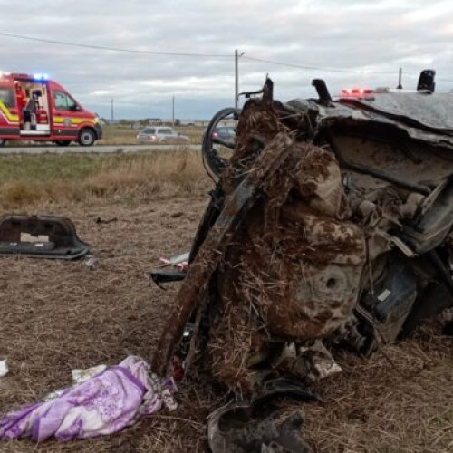 Bărbat drogat reținut după accident mortal și fugă de la locul faptei la Frătăuții Vechi
