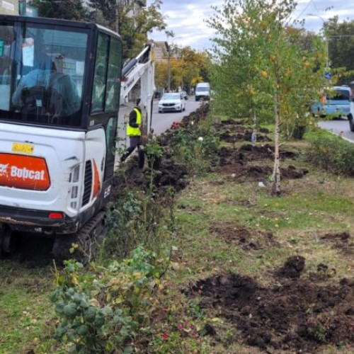 Primăria Sector 1 continuă lucrările de amenajare peisagistică pe Bulevardul Bucureștii Noi