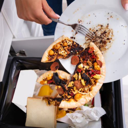 Românii aruncă anual 150 kg de alimente, fiind lideri în risipa alimentară