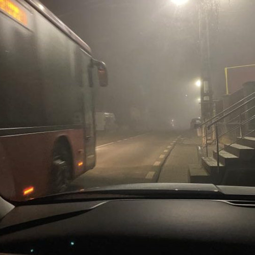 Locuitorii din Sântimbru pază comuna noaptea din cauza unui urs