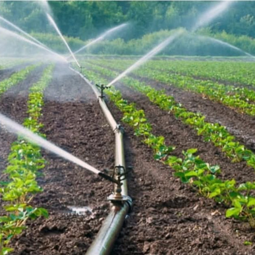 Primăria Turceni îndeamnă fermierii să refacă sistemul de irigații