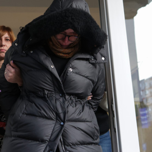 Simona Stan, sora lui Carmen Dan, reținută într-un dosar de înșelăciune de peste un milion de euro