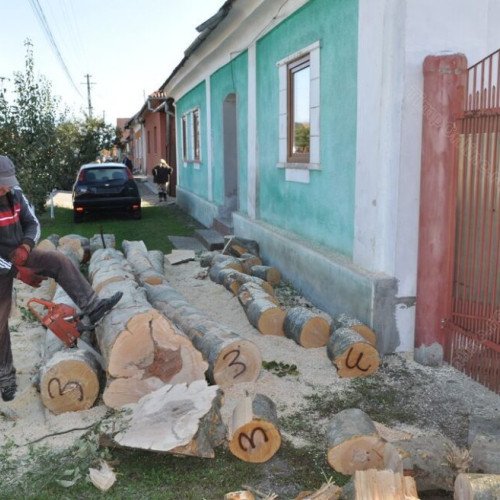 Crește numărul prestatorilor casnici în Bistrița-Năsăud, tot mai mulți aleg munca legală