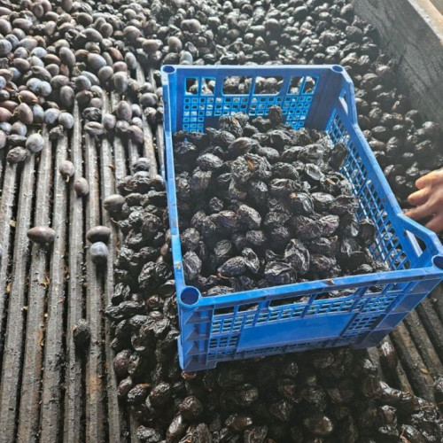 Ministerul Agriculturii susține produsele agroalimentare românești printr-un eveniment special