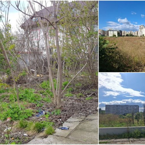 Primăria Bacău propune noi reguli pentru salubrizarea terenurilor și clădirilor neîngrijite