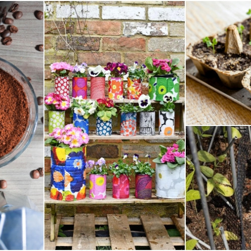 Cum să transformi deșeurile în resurse utile pentru un trai sustenabil