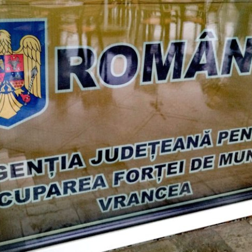 265 de locuri de muncă disponibile în Vrancea prin Agenția pentru Ocuparea Forței de Muncă