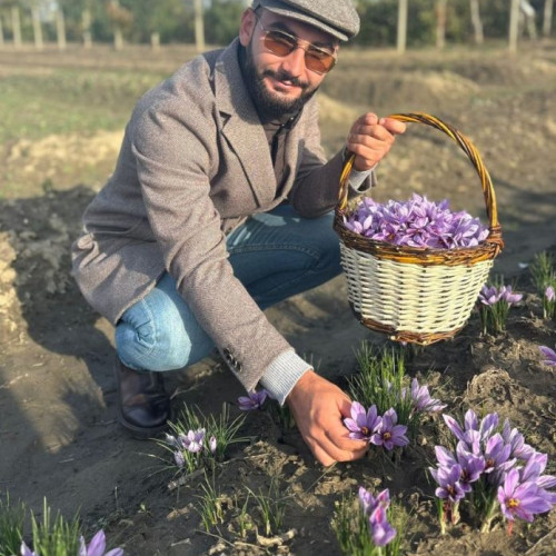 Eveniment special la Grădina cu Șofran din Gologanu pe 18 octombrie