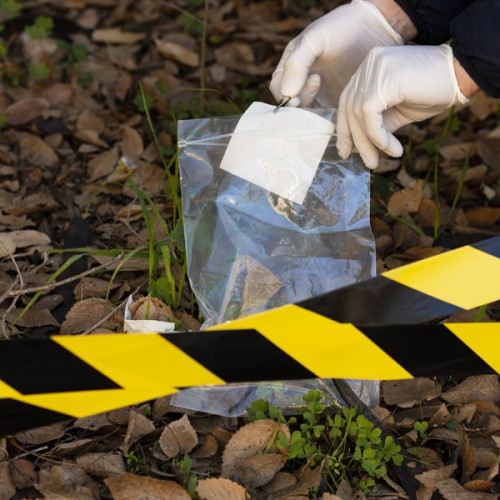 Tânăr de 20 de ani și minora de 14 ani, cercetați pentru uciderea unei femei în București