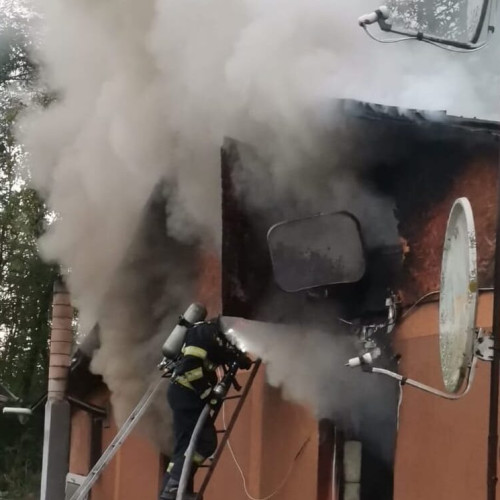 Incendiu la un canton silvic din Bucecea, județul Botoșani
