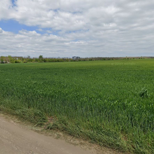 Licitație pentru teren în comuna 23 August, scos la vânzare de creditorii First Bank