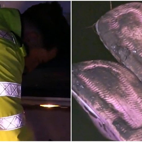 Doi copii găsiți morți într-o baltă din județul Vaslui, ancheta este în curs