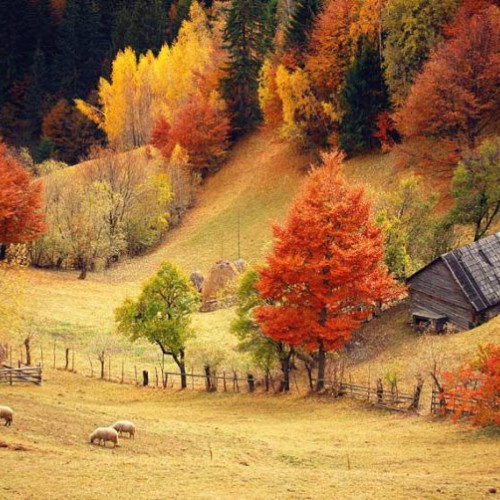 Prognoza meteo arată ploi și ninsori în zonele montane până duminică