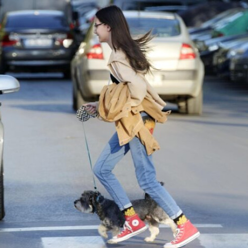 Neacordarea priorității pietonilor, cauză principală a accidentelor în București