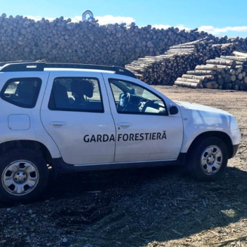 Garda Forestieră Focșani a intensificat controalele pentru protecția pădurilor în septembrie