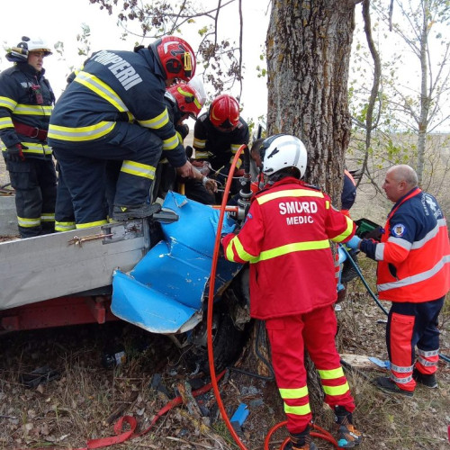 Accident grav în Timiș: dubă cu lemne a intrat într-un copac, un adolescent încarcerat