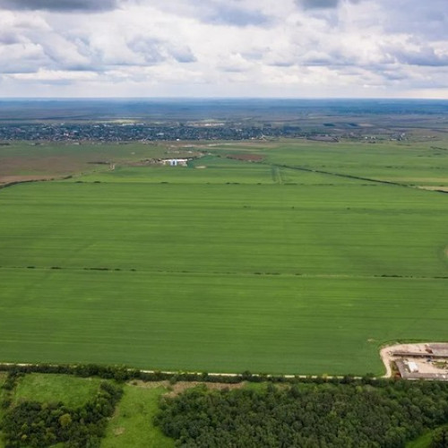 Peste 1.200 hectare de teren agricol sunt scoase la vânzare în județul Botoșani