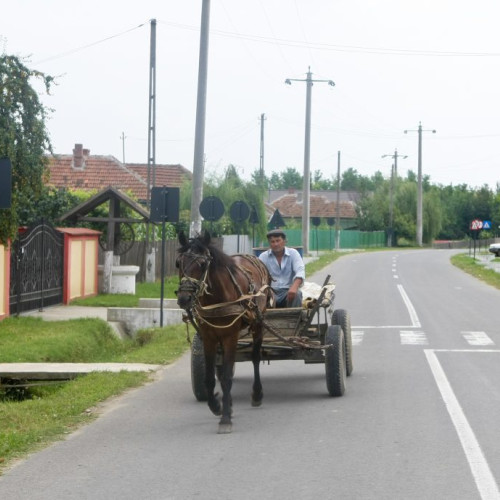 Femeie rănită după ce a căzut dintr-o căruță în Bicazu Ardelean
