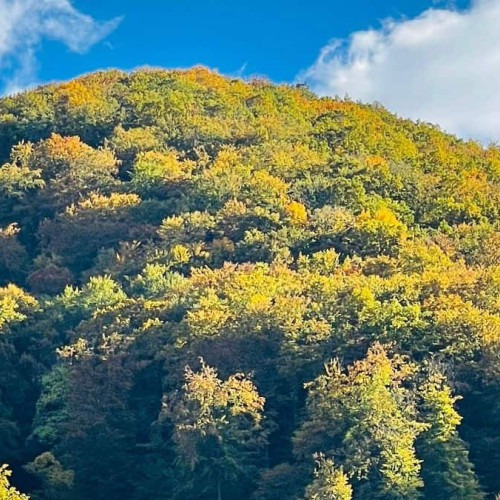 Temperaturi în creștere în Alba săptămâna viitoare, urmate de o răcire duminică