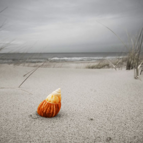 Prognoza meteo arată temperaturi scăzute și vânt în intensificare în mai multe regiuni