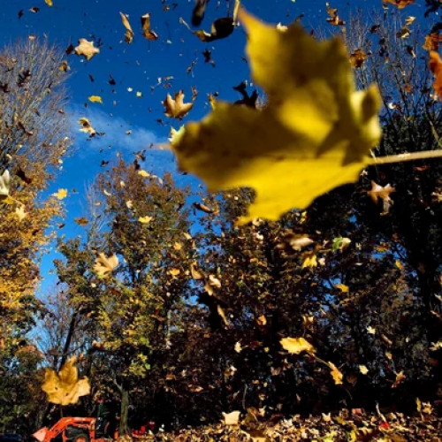 Doi ani reci urmează în țară, apoi temperaturile vor crește brusc