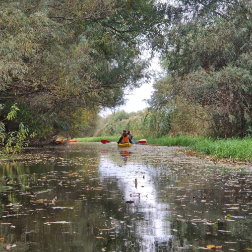 Delta Dunării atrage turiști prin pescuit recreativ și turism responsabil în 2025