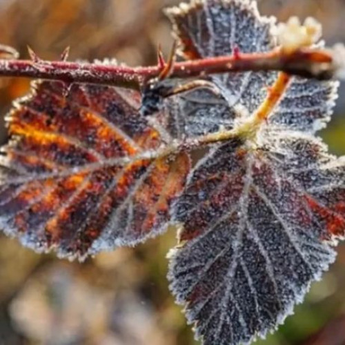Temperaturi scăzute și polei pe drumurile din Maramureș în urma ninsorii