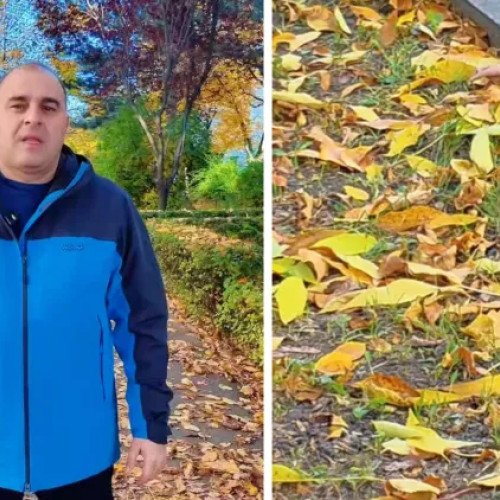 Viceprimarul Dan Tarcea condamnă distrugerea copacilor pe strada Lunii din Cluj-Napoca