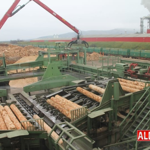 Angajat al Holzindustrie Schweighofer condamnat pentru ucidere din culpă după un accident mortal de muncă