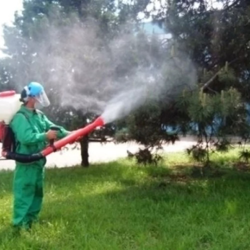 Tratamente fitosanitare nocturne și de zi în Brașov pentru arbori și plante decorative
