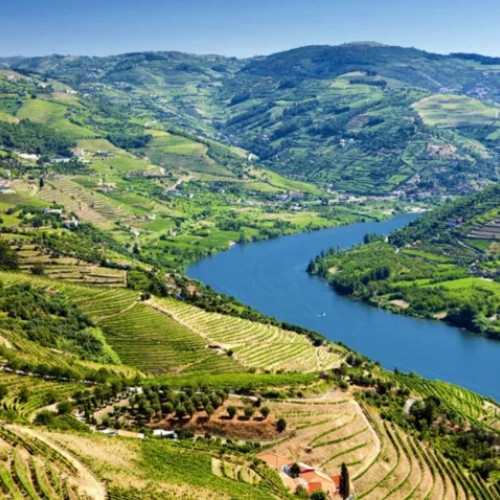 Alex a renunțat la cariera de top și s-a mutat în Portugalia pentru o viață liniștită