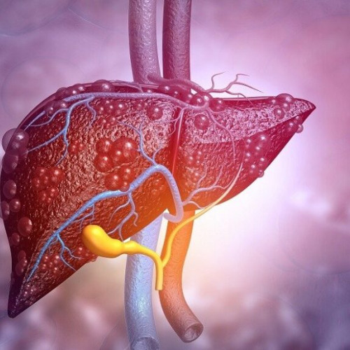 Fibrele vegetale ar putea preveni și inversa boala hepatică legată de metabolism