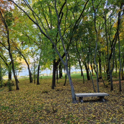 Atmosferă de toamnă pe Faleza Dunării, în duminica plină de activități