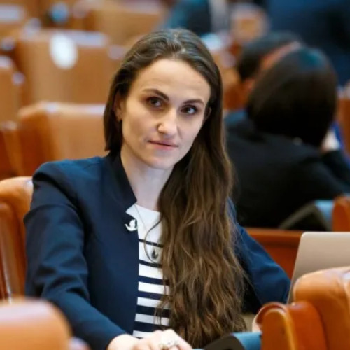 Adrian Papahagi critică ferm declarațiile Oanei Țoiu despre mecanismul de vot în UE