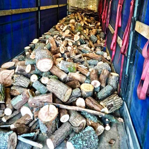 Bărbat din Corbii Mari amendat pentru transport ilegal de lemn și echipament fraudulos