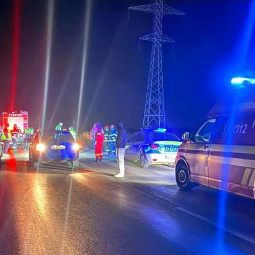 Accident rutier cu trei răniți la Moara Nouă după coliziunea dintre un autoturism și un atelaj hipo