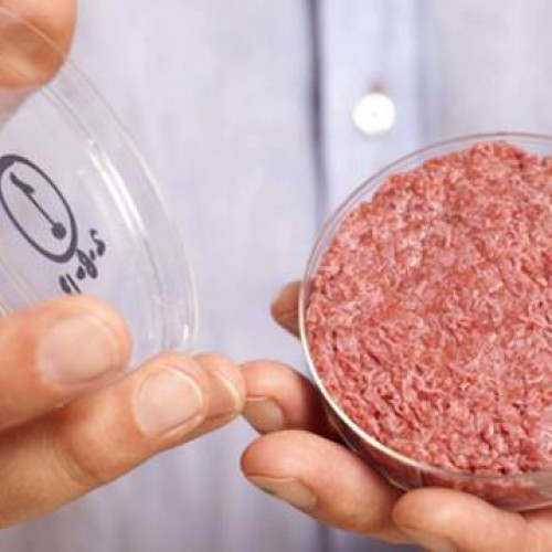 Europenii, deschiși la consumul de alimente produse prin biotehnologie