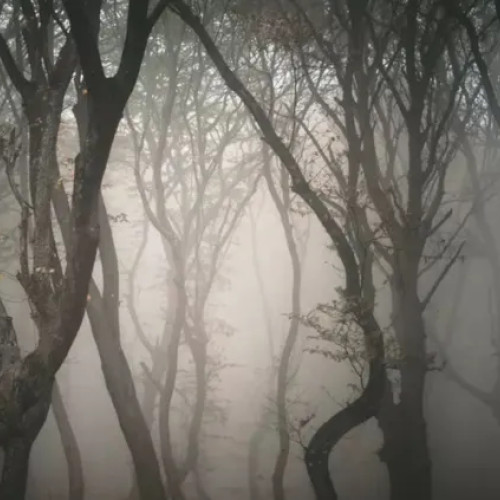 România lider european în topul destinațiilor de Halloween